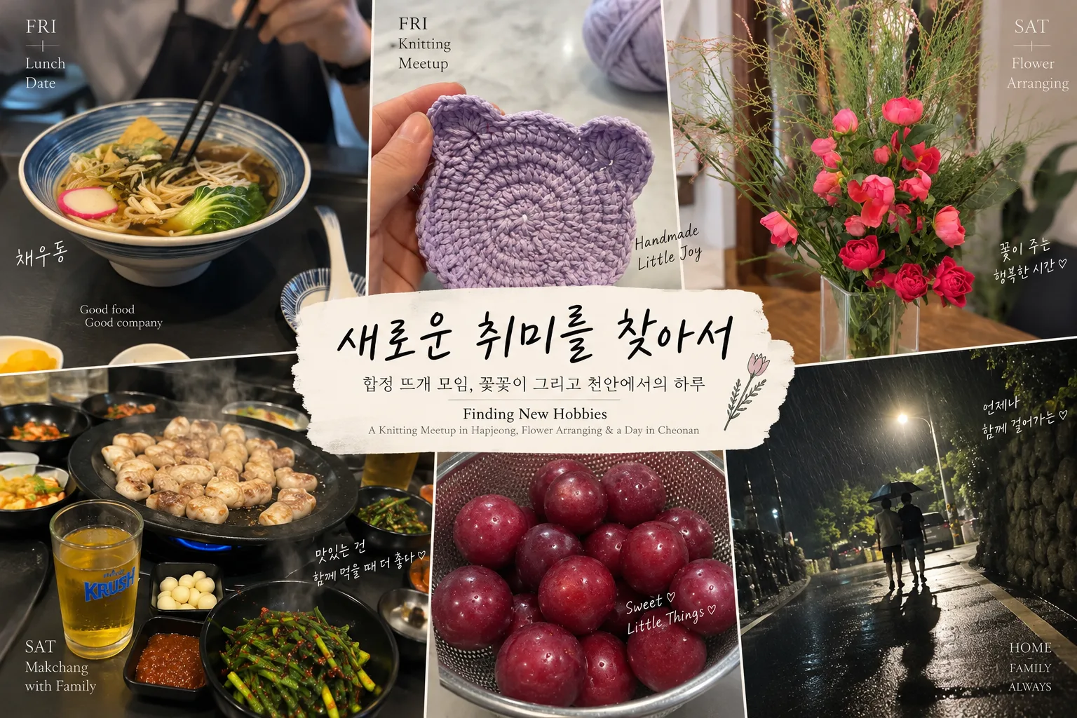 Image of 새로운 취미를 찾아서｜합정 뜨개 모임, 꽃꽂이 그리고 천안에서의 하루