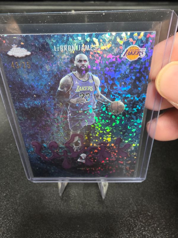 LeBron James