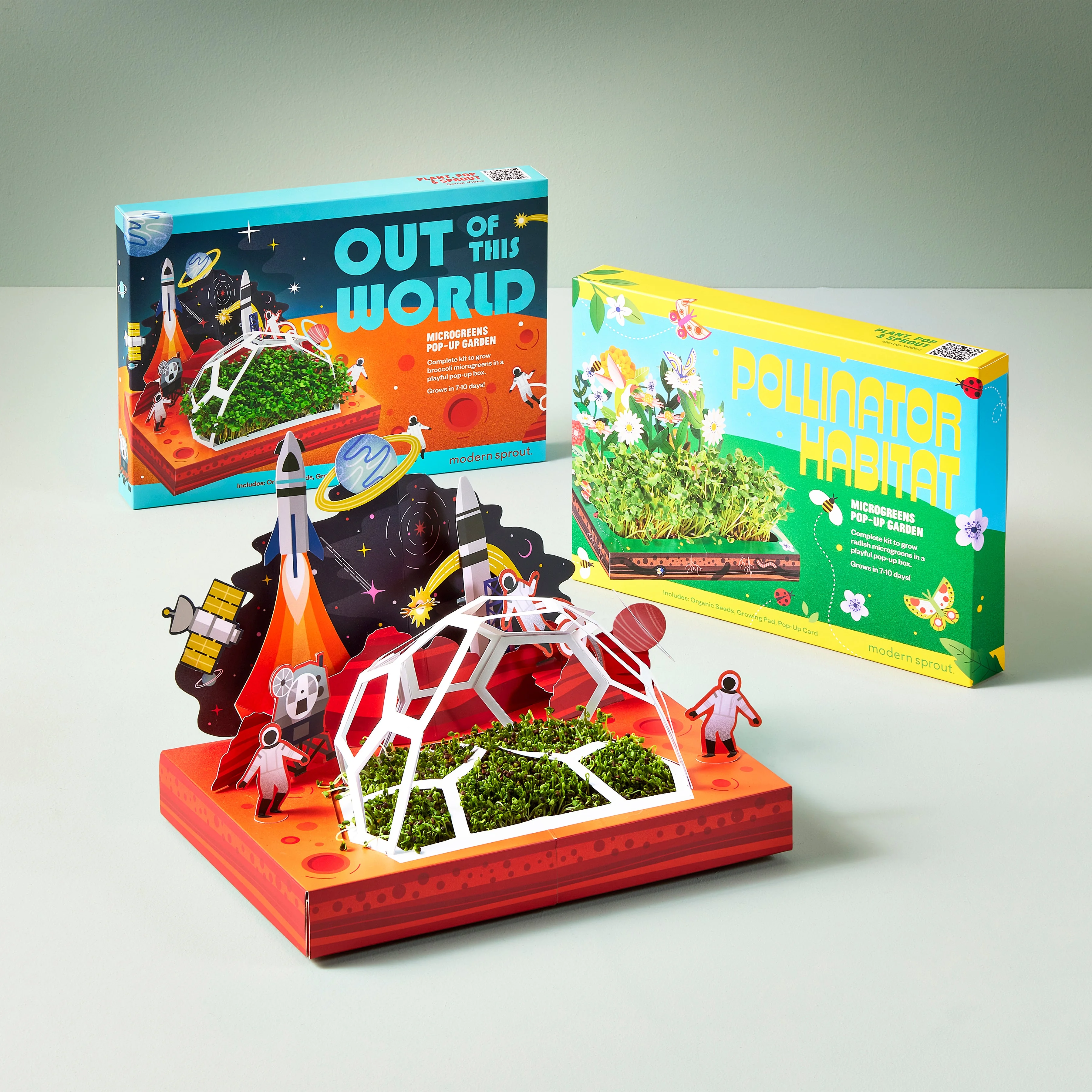 Microgreens Pop-Up Kit — Modern Sprout