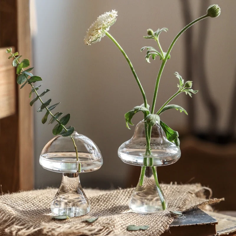 Mushroom Propagation Station — HousePlantParadise
