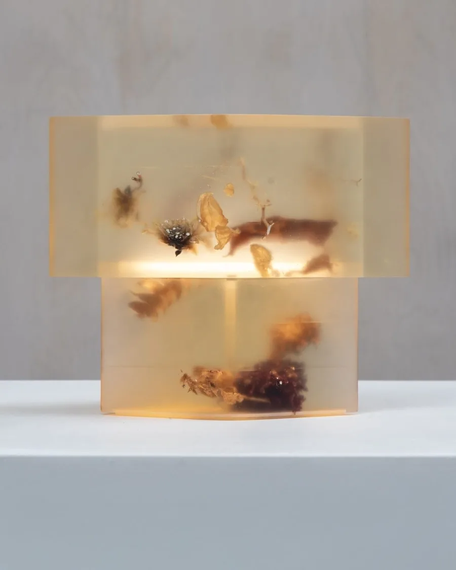 Describe this image for accessibility