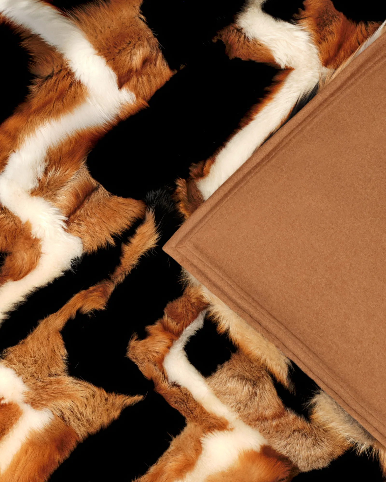 YVES SALOMON ÉDITIONS 3