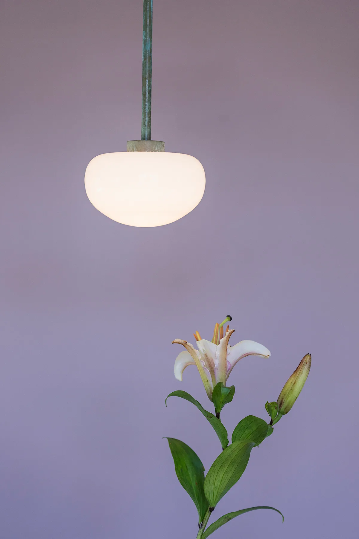 Sara Schoenberger: debuts CORONETTE at Afternoon Light 3