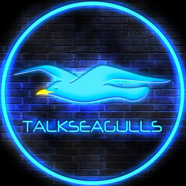 Talk Seagulls logo