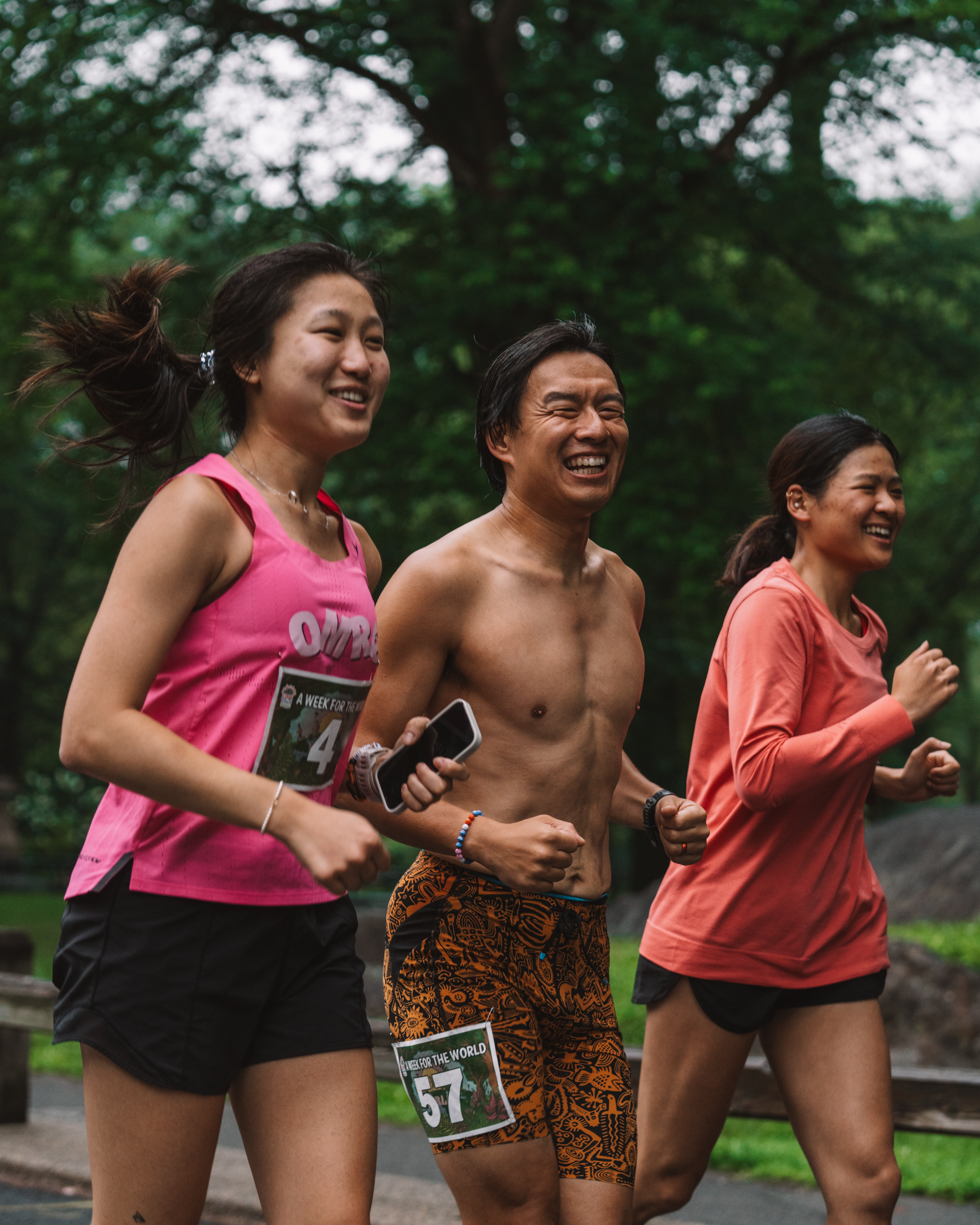 A dense, lush green forest.