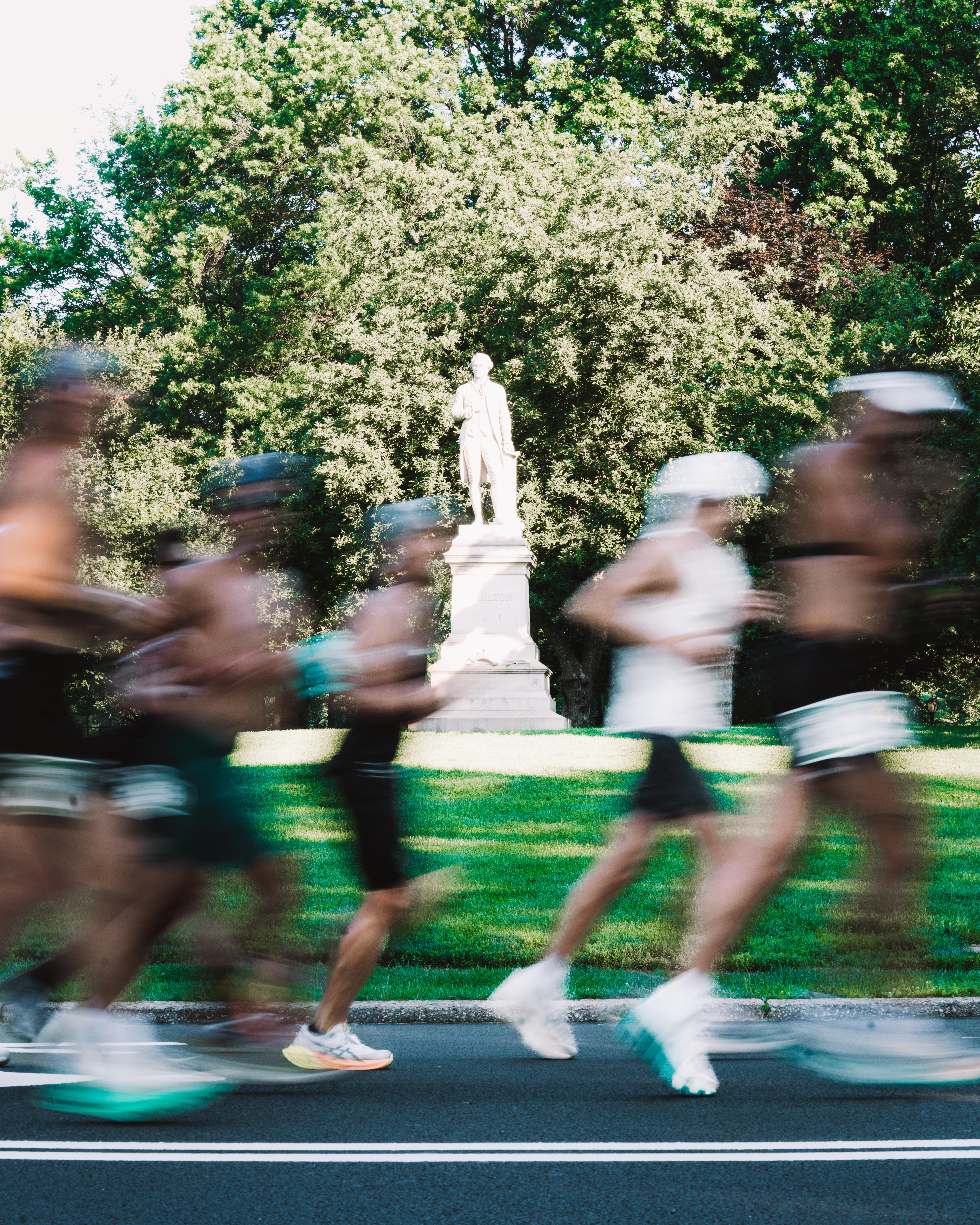 A group of volunteers planting trees.