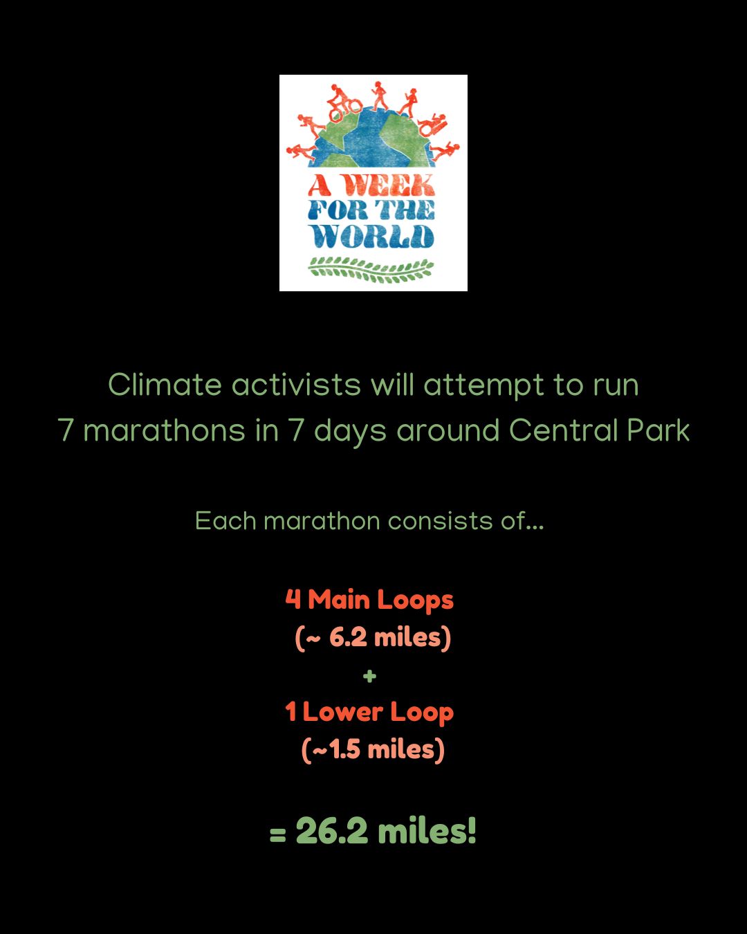 Spectator gallery image 2