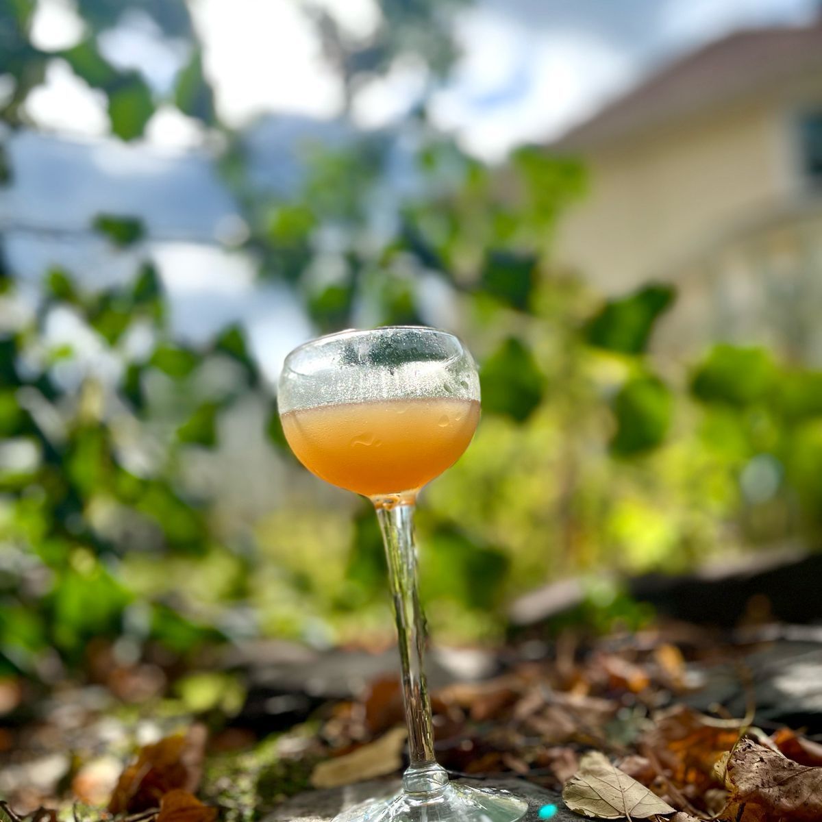Fire Cider Cocktail & Mocktail