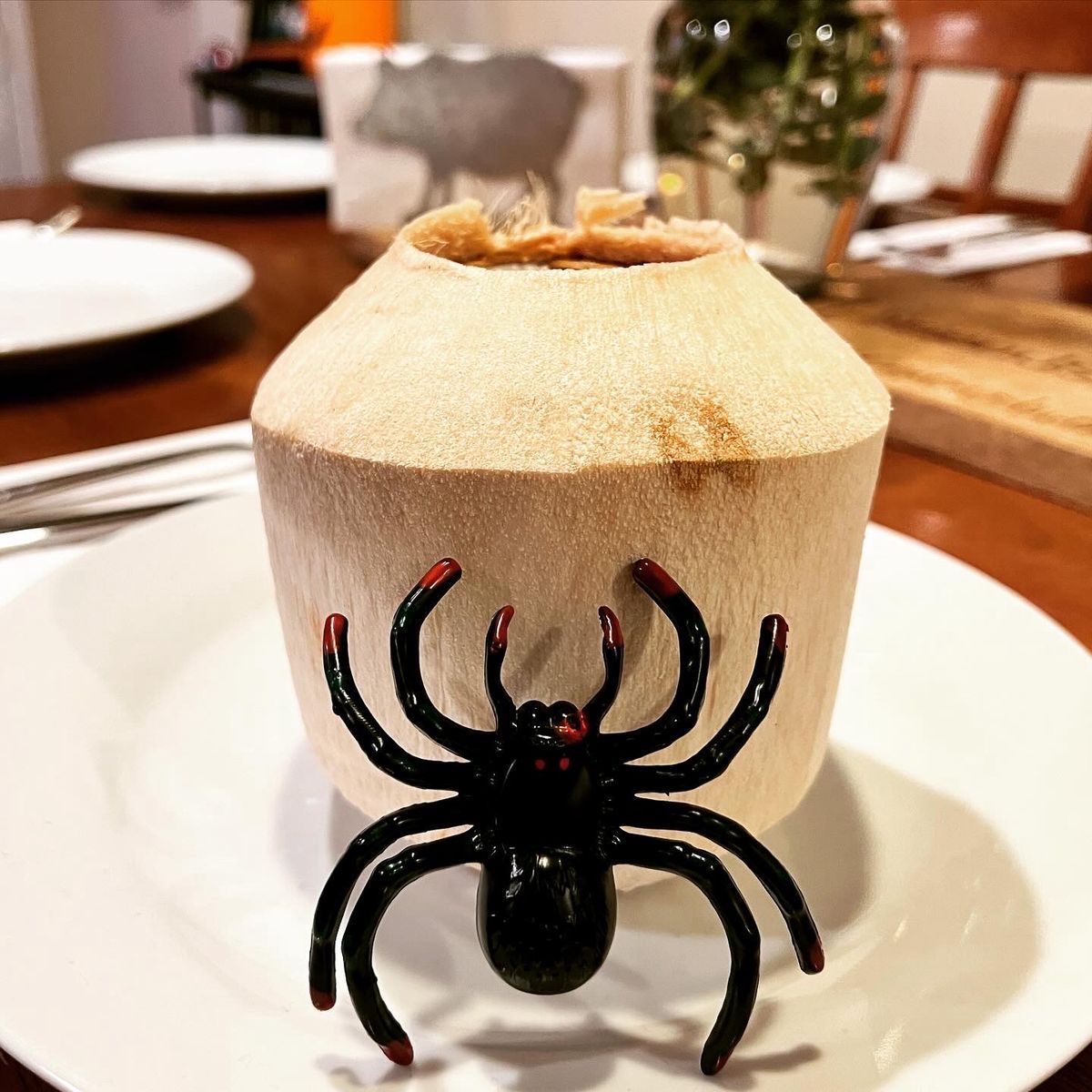 Spider Killer Recipe — How to Make It | Crafted Pour