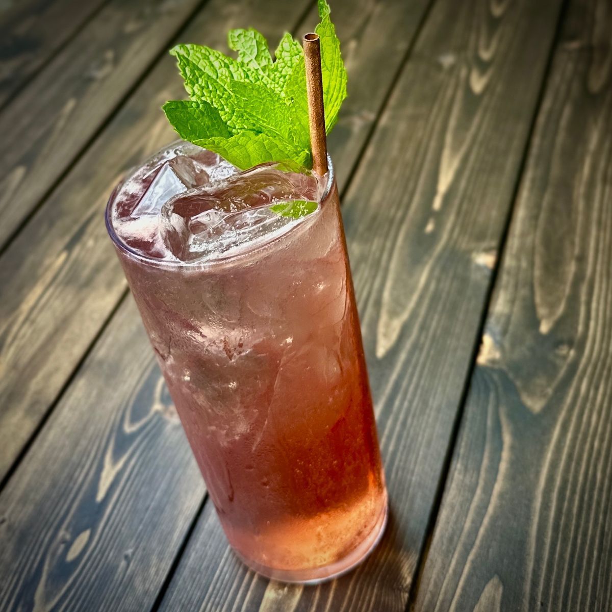Dead Sea Mule