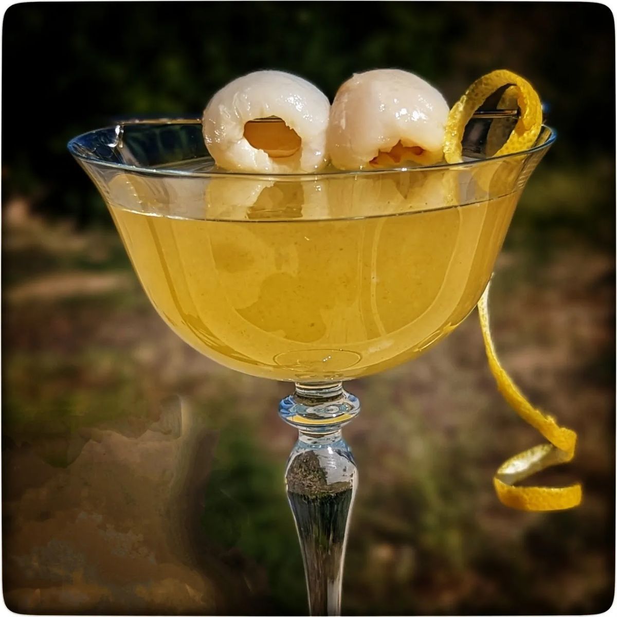 My Bubbly Passion