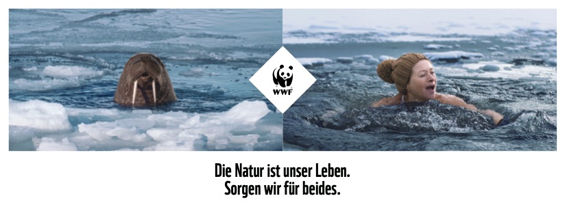 WWF