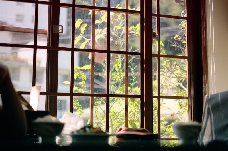 A sunlit grid-paned window looking out at lush green leaves and flowering branches