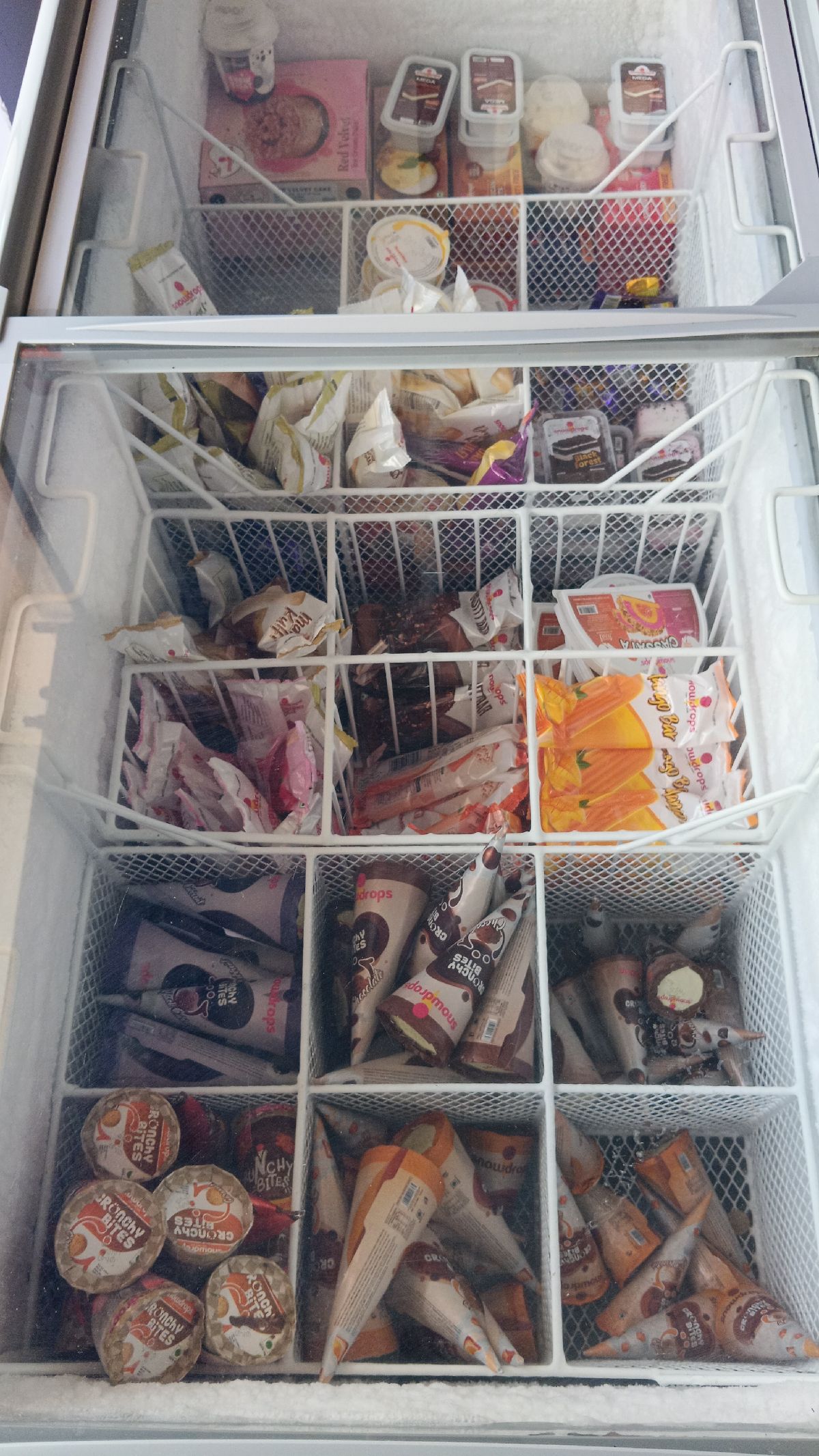 Bhadrakali ice Cream parlour photo