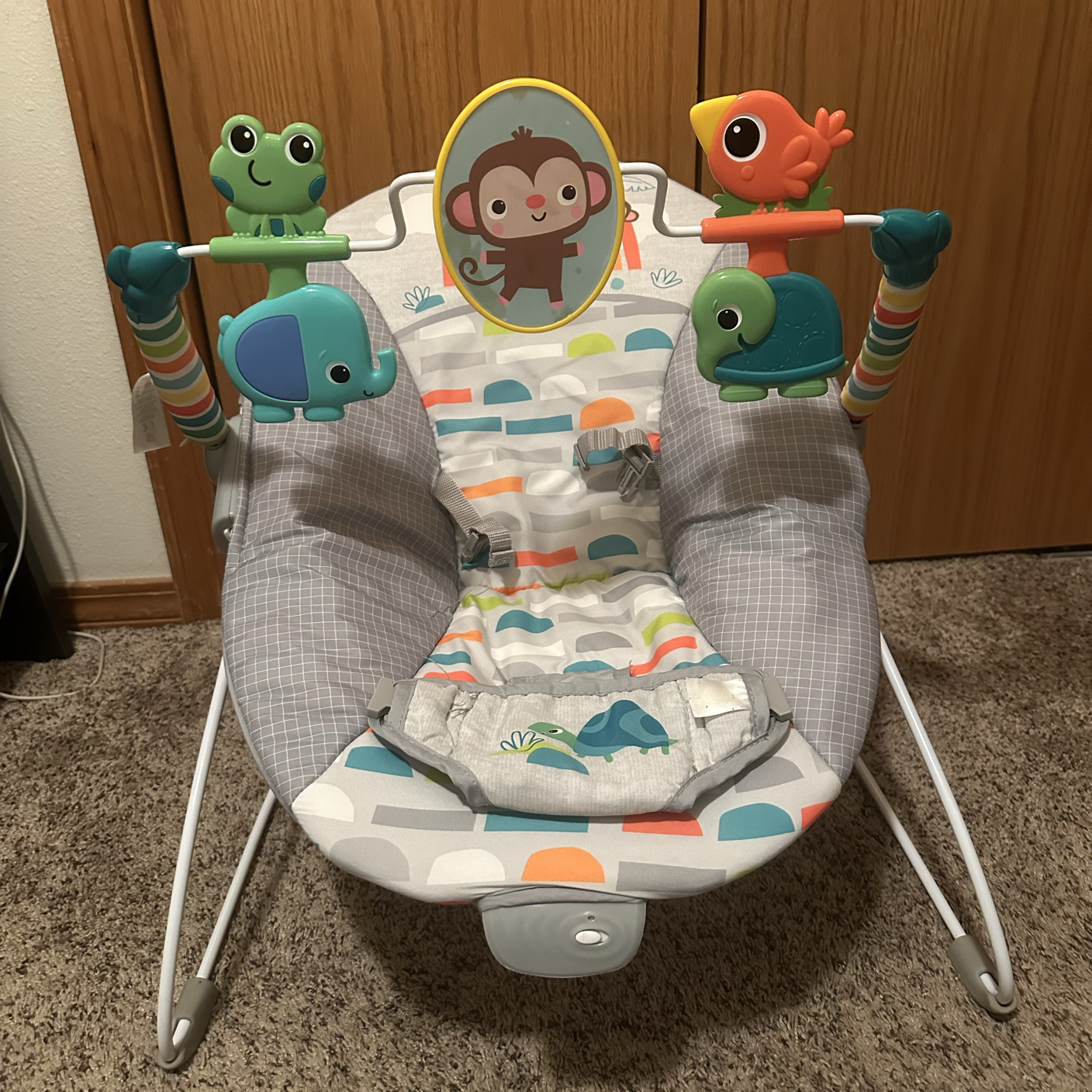 Bright star vibrating bouncer