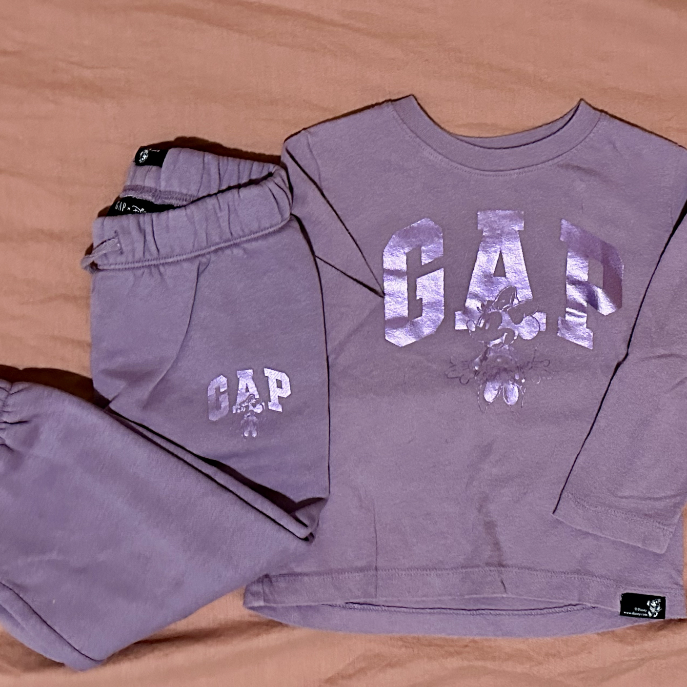 Mickey Mouse Sweatshirt and Pants Set