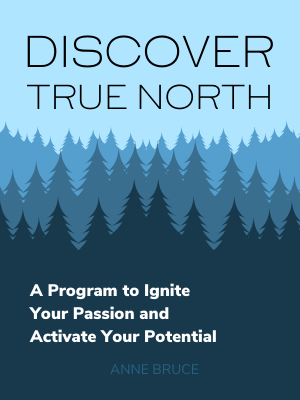 Discover True North: A Program to Ignite Your Passion and Activate Your Potential