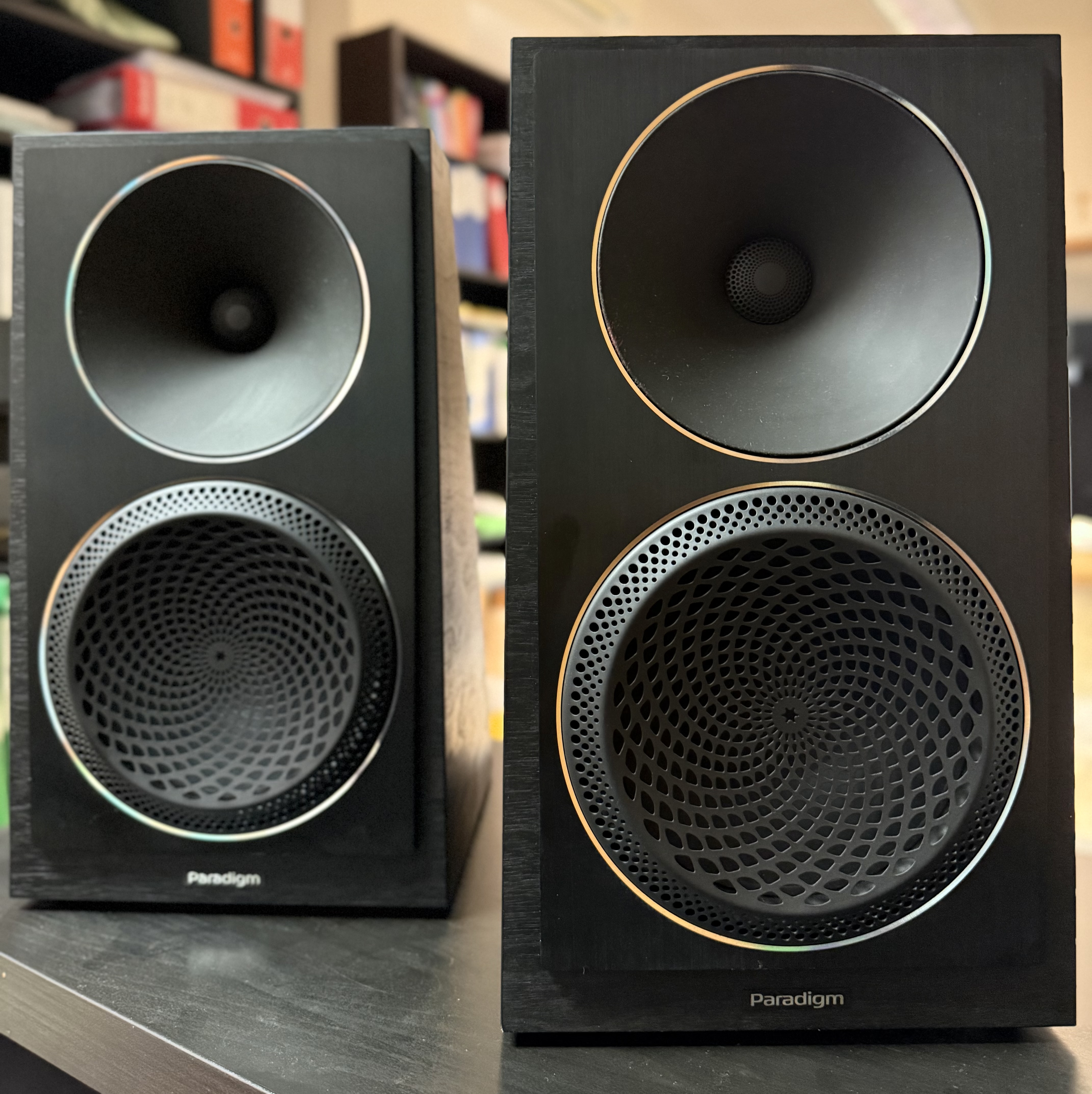 PARADIGM FOUNDER 40B