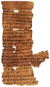 Papyrus Nash