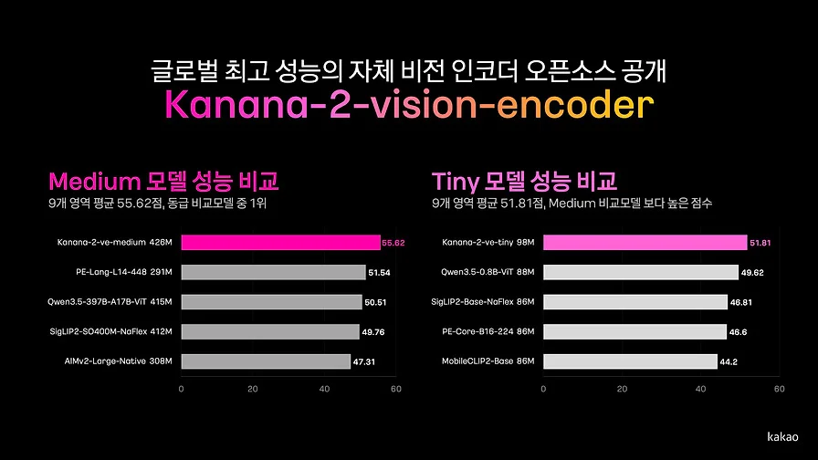 Kanana-2-vision-encoder