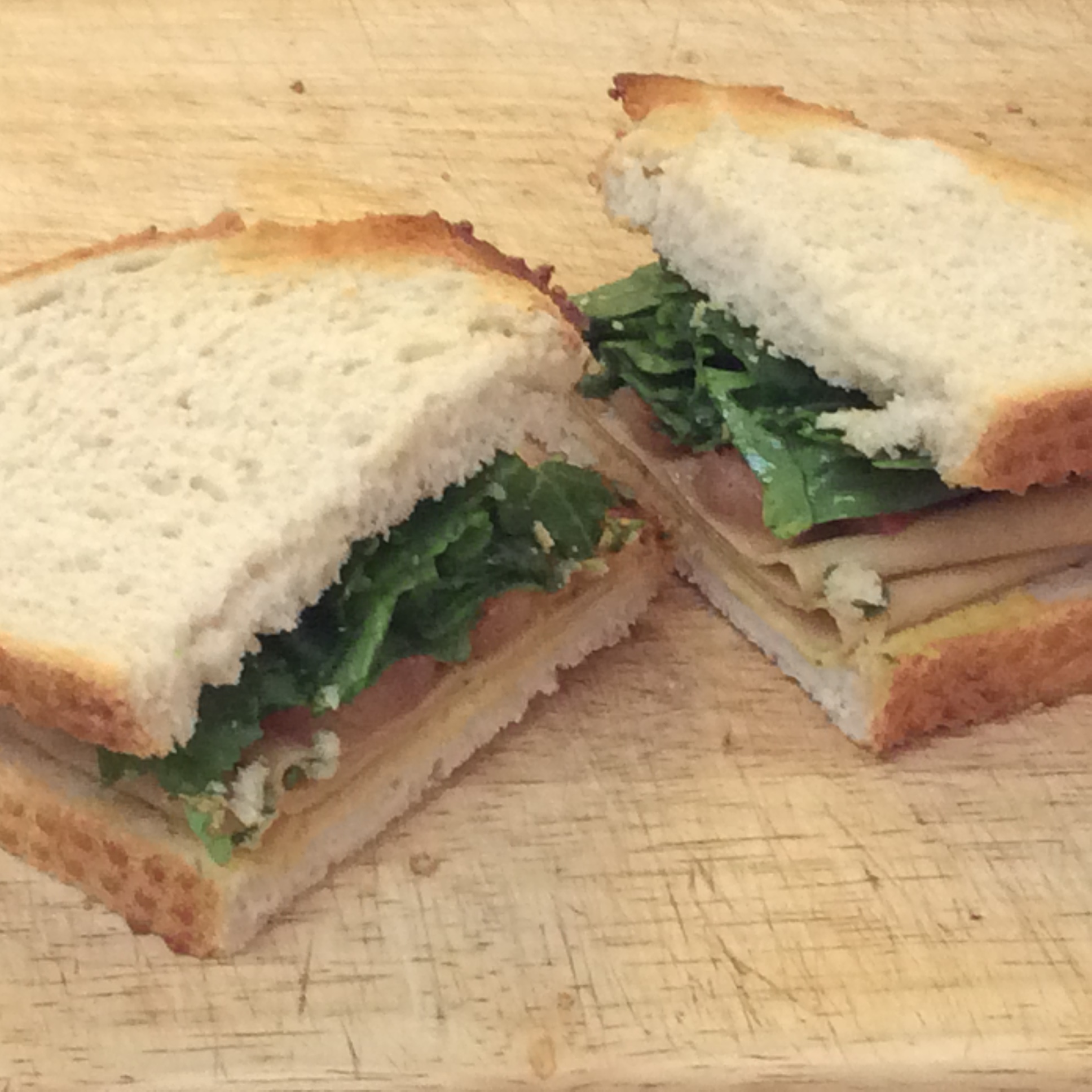 Tofurky Sandwich Recipe TheVeganKind