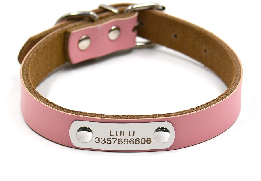 FreeengravingdogIDcollarnamenumberGenuineleathertagcollarsmallandlargepetdogcollarsDIYpersonalcollarssupply