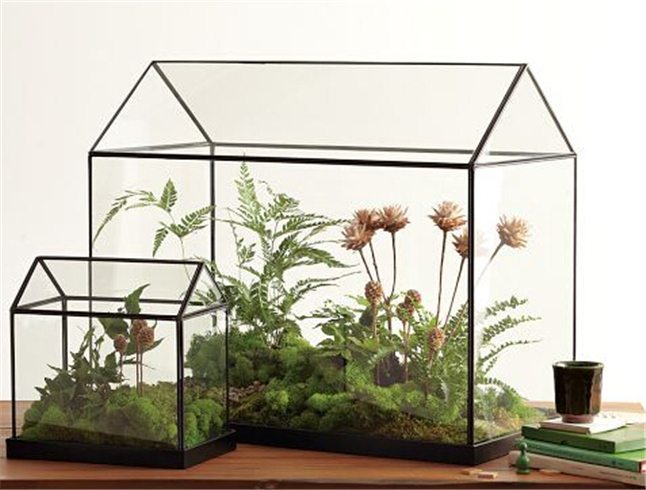 CoolMiniHandmadeTabletopGlassGreenHousesSmallArchedGreenhouseWardianCaseMiniatureLandscapeGardenTerrarium