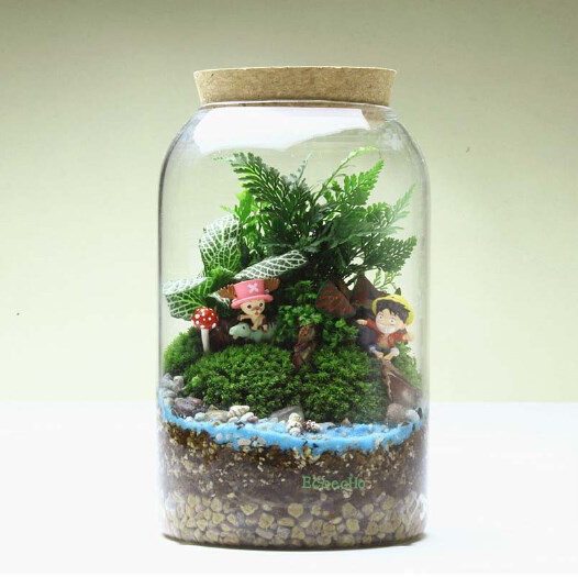 1PCHotsellingRoundglassvaseHandmadeSucculentTerrariumKitHomedecorationGiftRoundbottomOP164