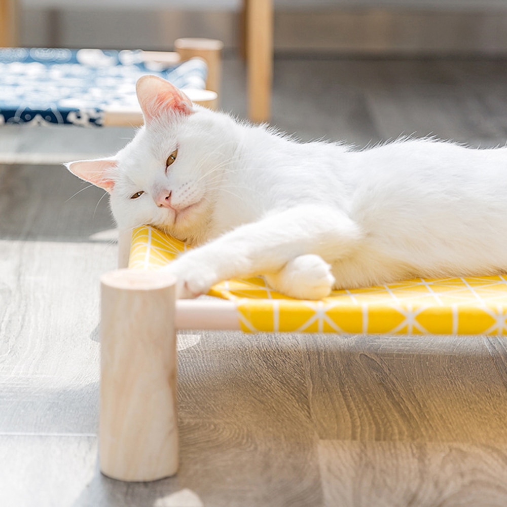 ElevatedCatBed