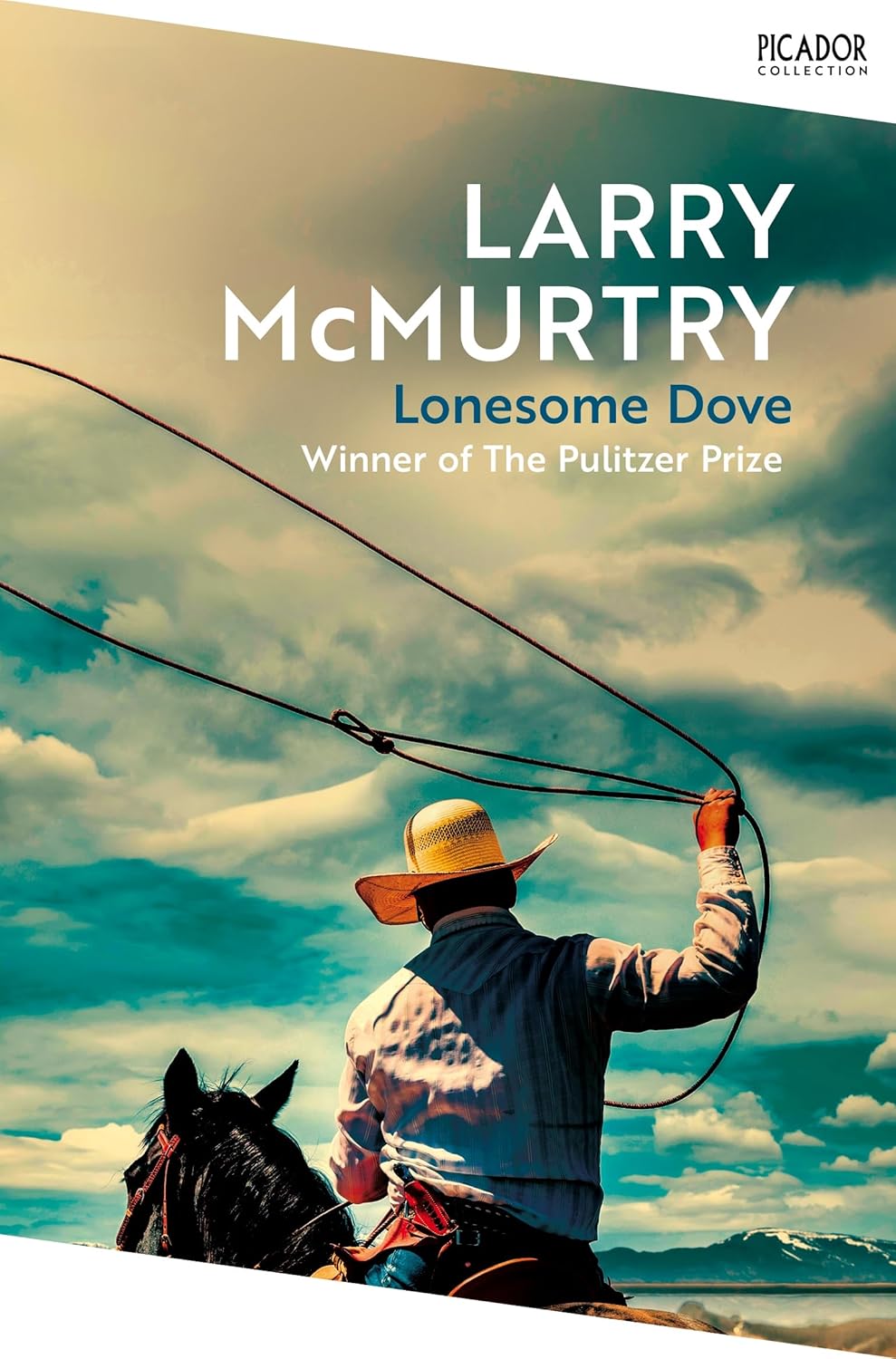 Cover of Lonesome Dove
