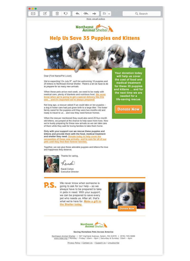 Pet shelter email design