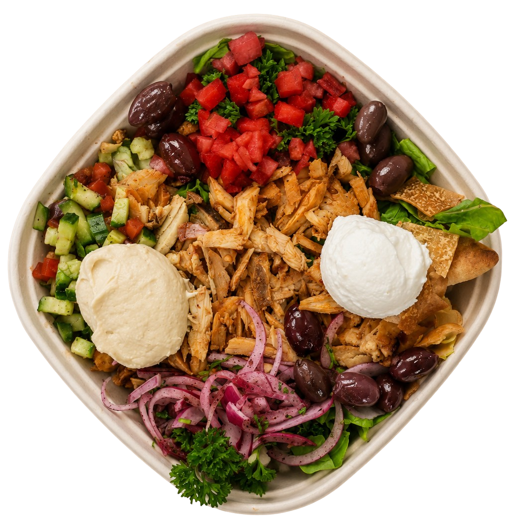 Shawarma bowl with hummus, garlic sauce, and pickled onions