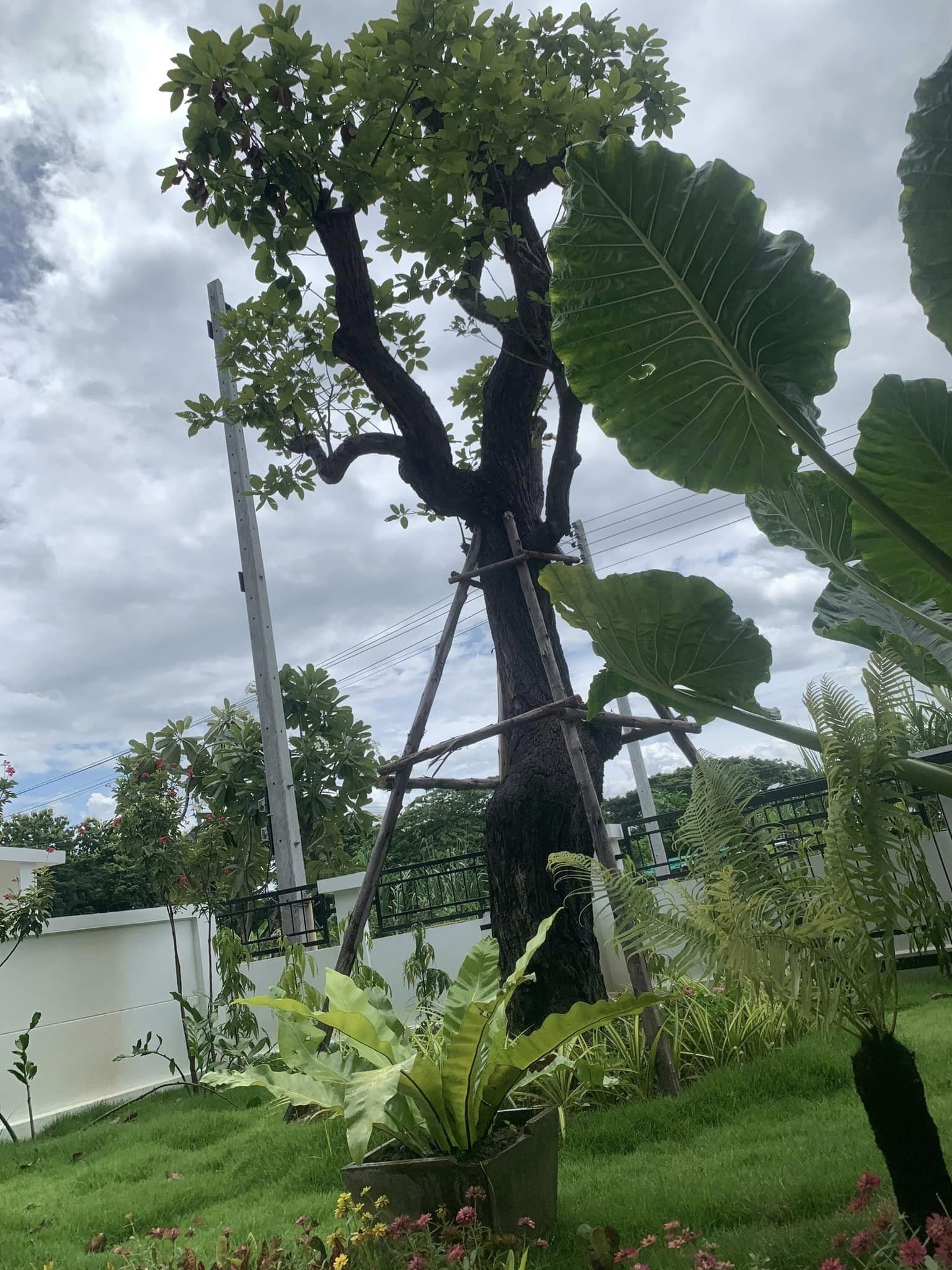 3 卧室 独立房屋 在 - Image 23