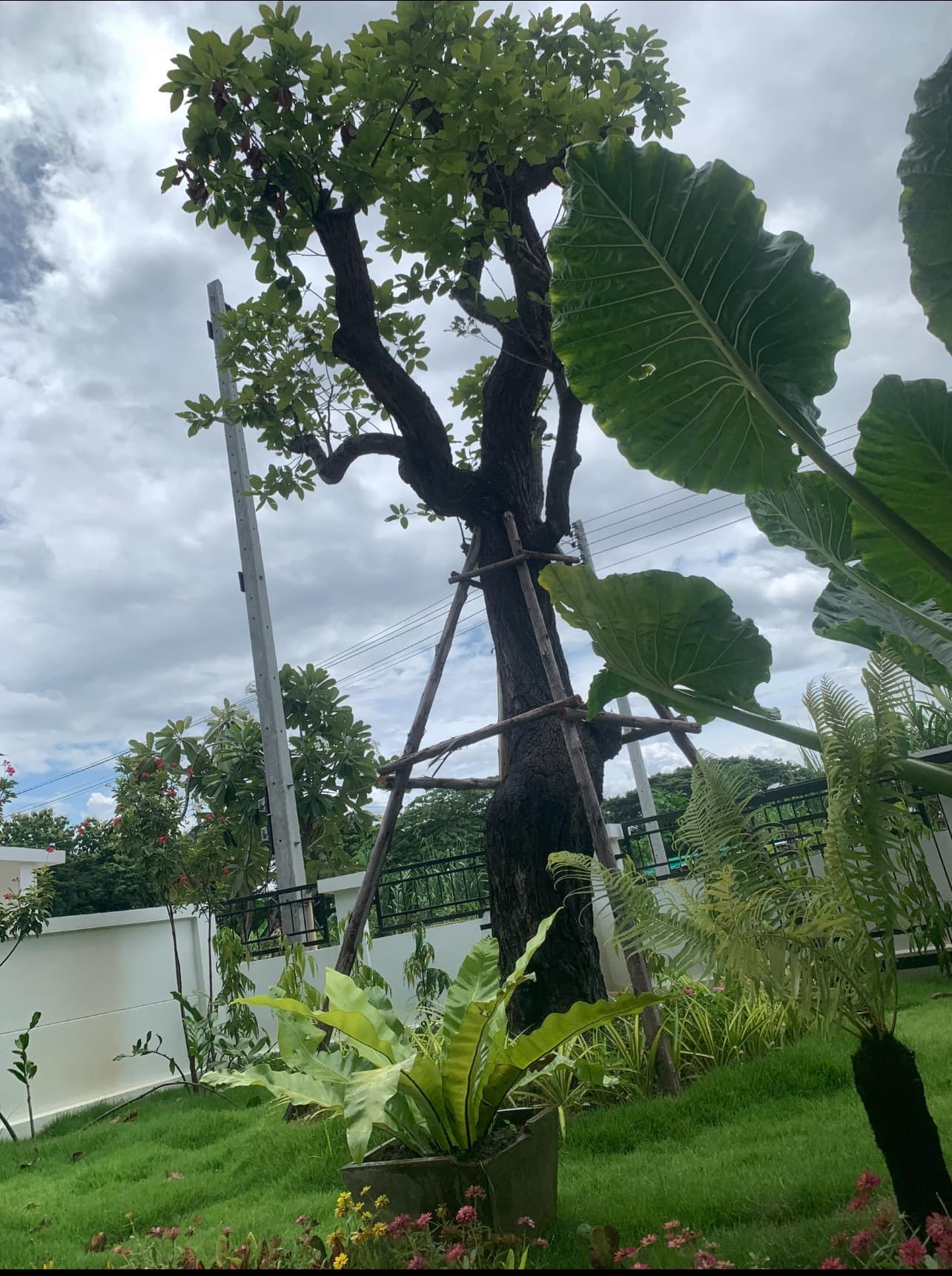 3 卧室 独立房屋 在 - Image 20