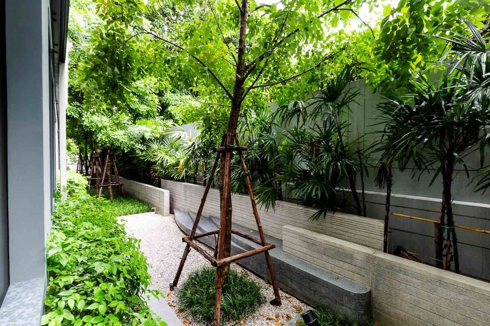 Taka Haus Ekamai 12 - Image 9