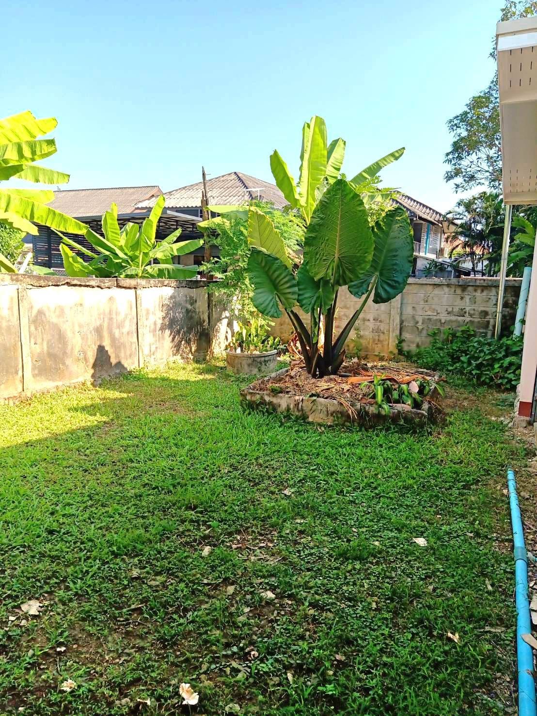 4 Bedroom House For Rent in Don Kaeo, Saraphi, Chiang Mai - Image 17