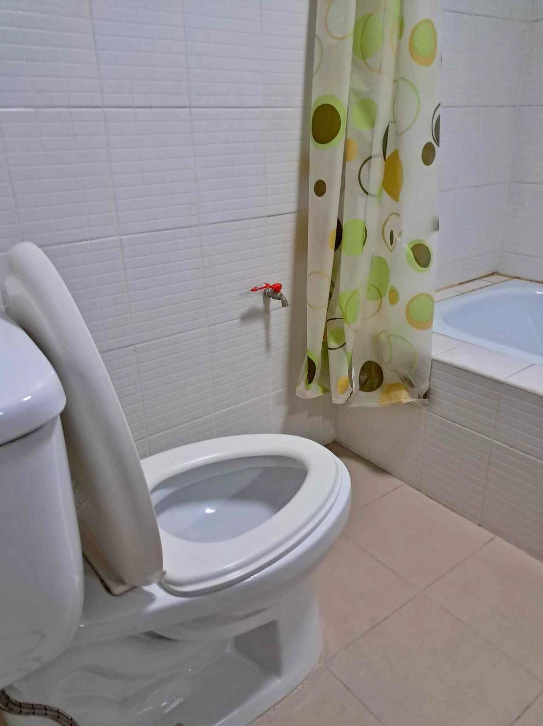 Supanich Condo - Image 10