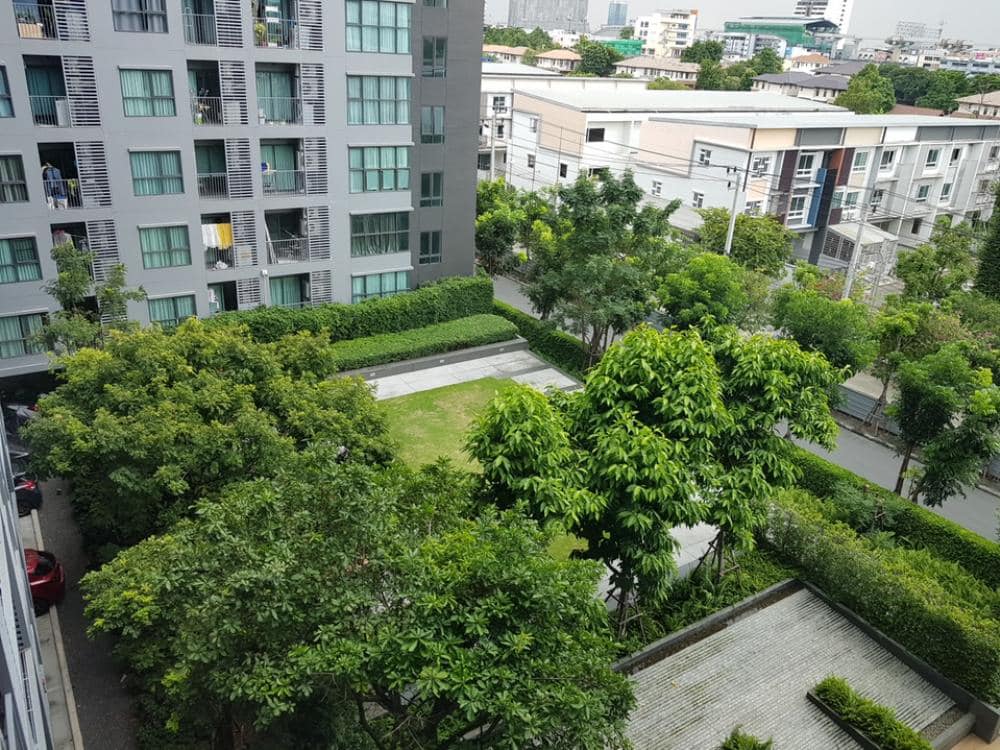 แอสเพน ลาซาล - Image 16
