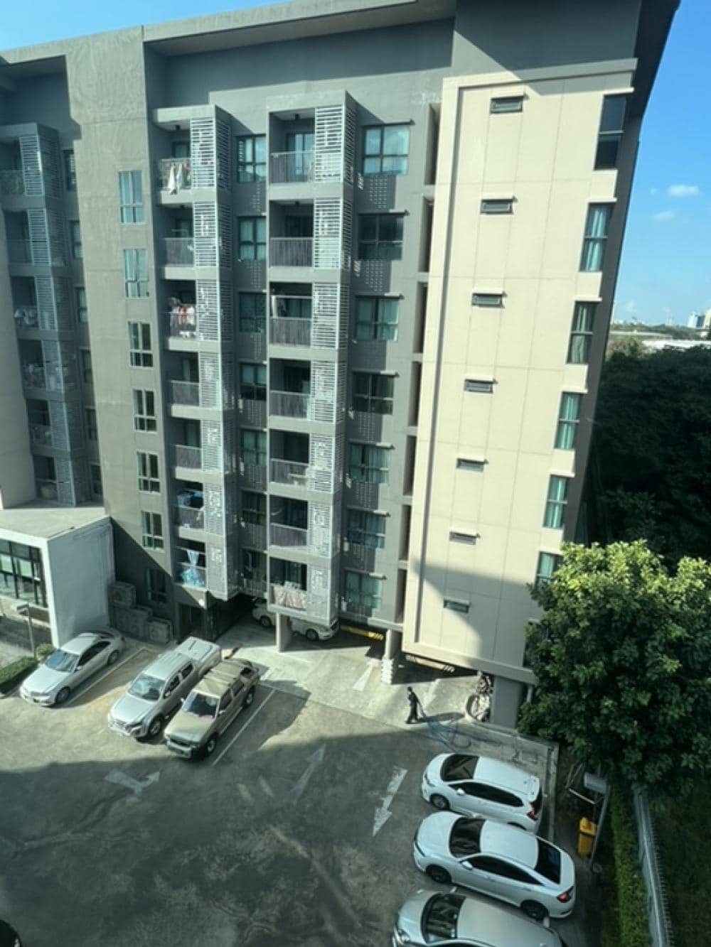 แอสเพน ลาซาล - Image 14