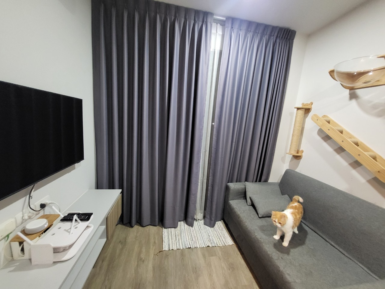 Brixton Pet&Play Sukhumvit 107 - Image 1