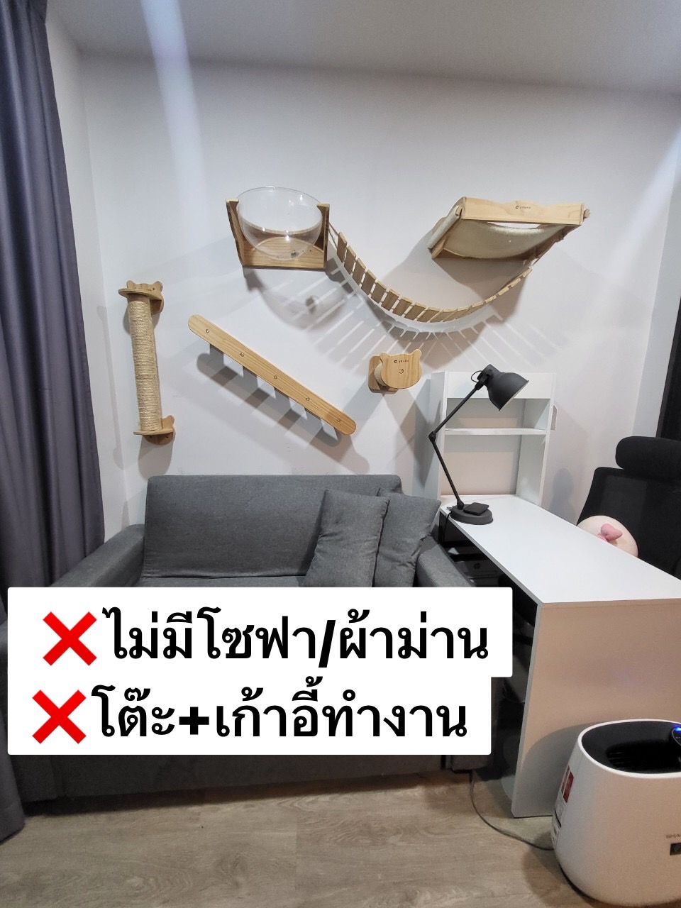 Brixton Pet&Play Sukhumvit 107 - Image 6
