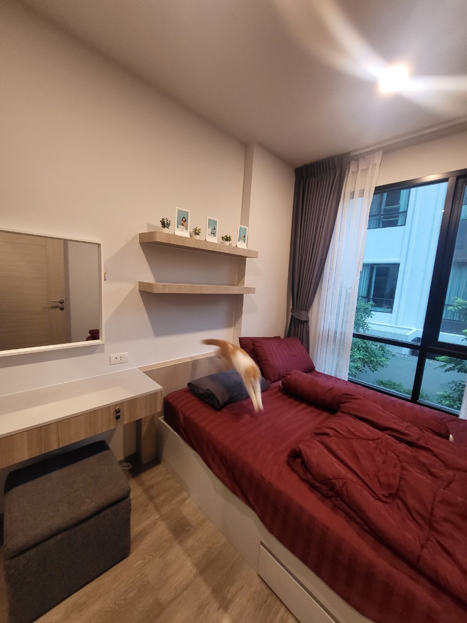 Brixton Pet&Play Sukhumvit 107 - Image 3