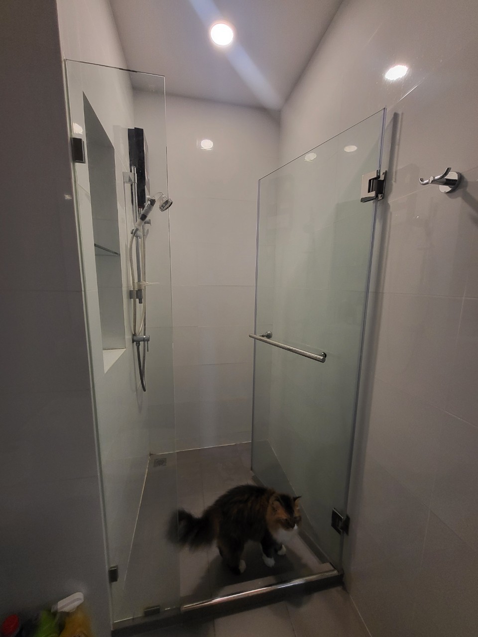 Brixton Pet&Play Sukhumvit 107 - Image 8