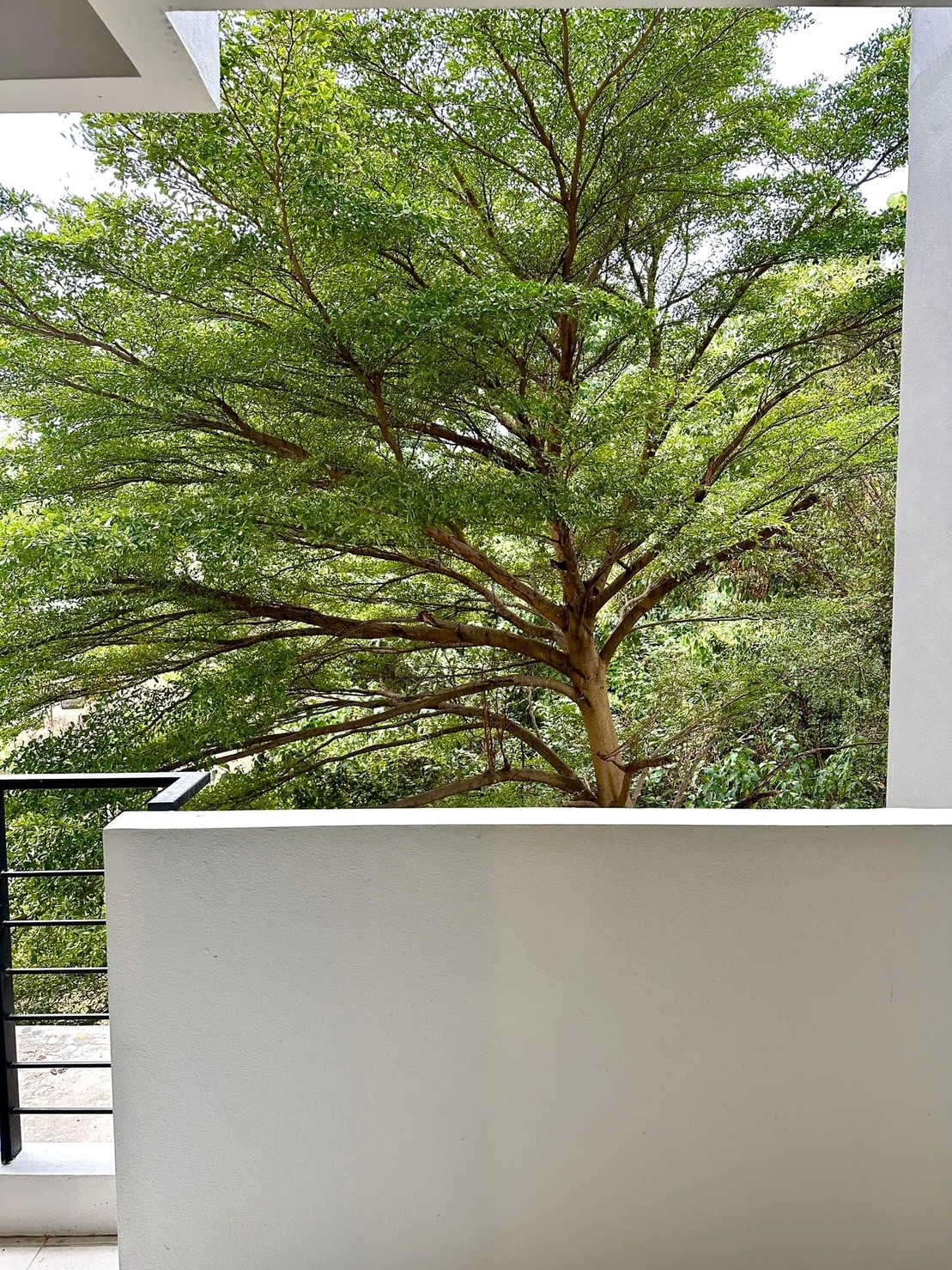 ปันนา โอเอซิส 1 - Image 20