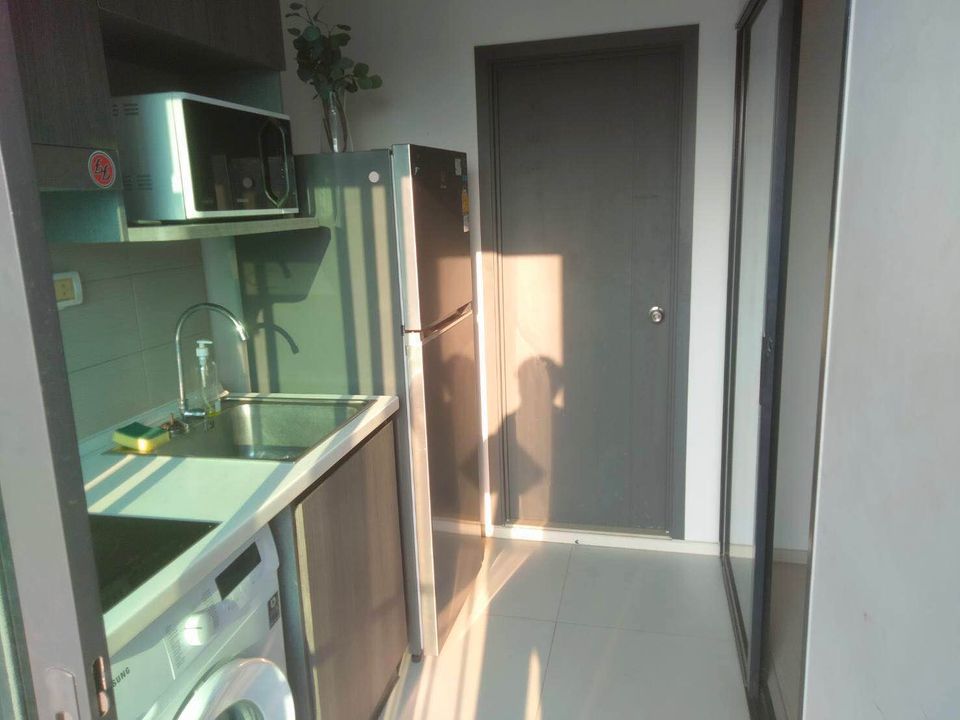 ELIO DEL NEST - Image 7