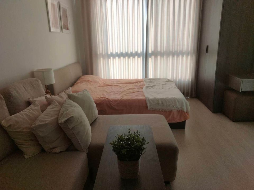 ELIO DEL NEST - Image 4