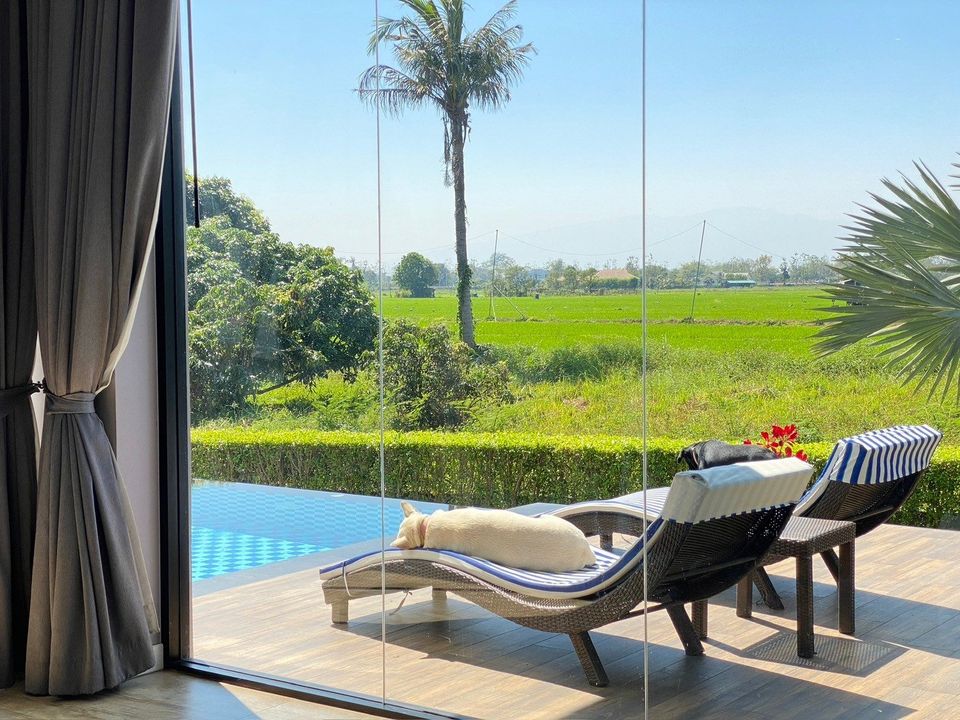 4 Bedroom House For Sale in Luang Nuea, Doi Saket, Chiang Mai - Image 12