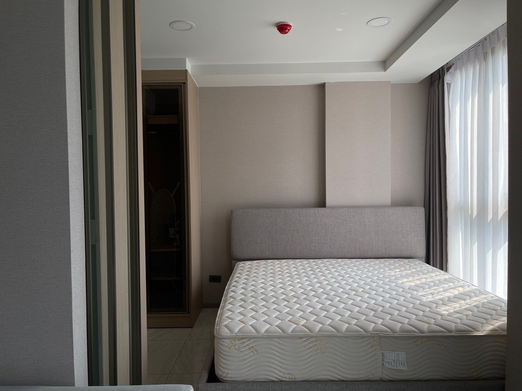 Walden Asoke - Image 3