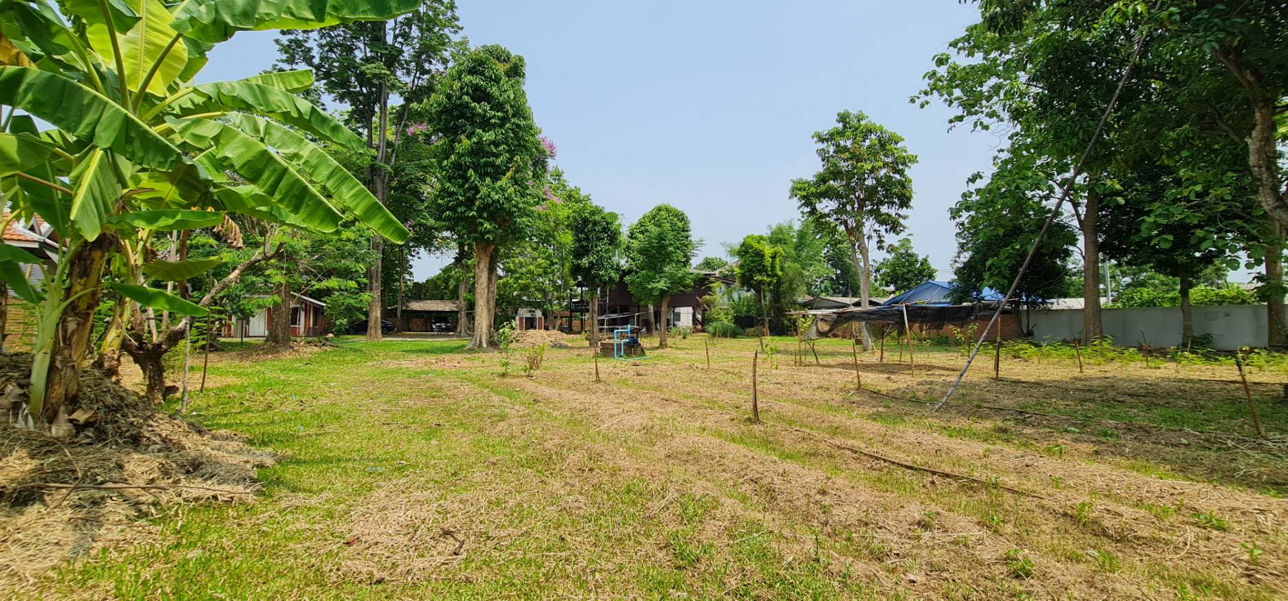 Land For Sale in Nong Phueng, Saraphi, Chiang Mai - Image 16