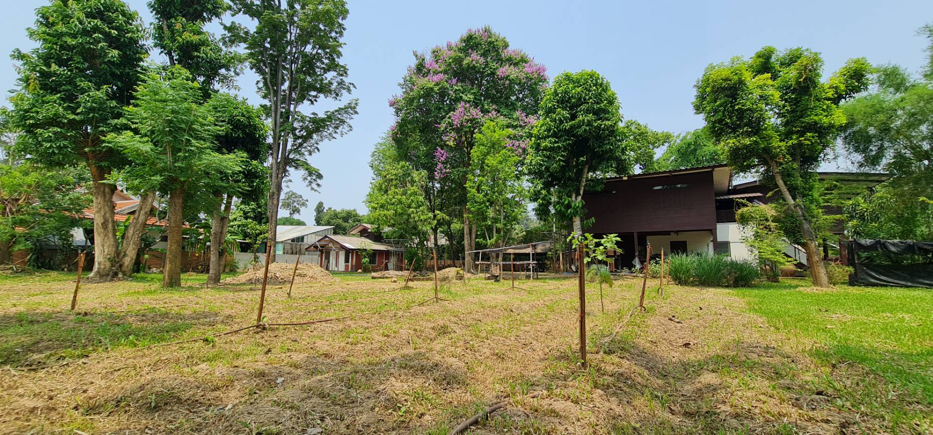 Land For Sale in Nong Phueng, Saraphi, Chiang Mai - Image 12